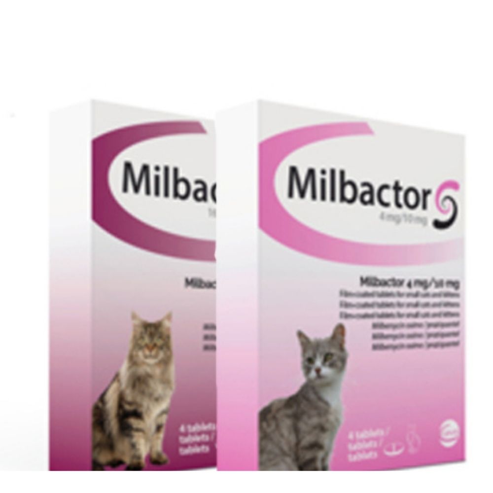 Geestig bezorgdheid handtekening Milbactor kat - Dr pet