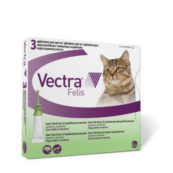 Vectra Felis kat