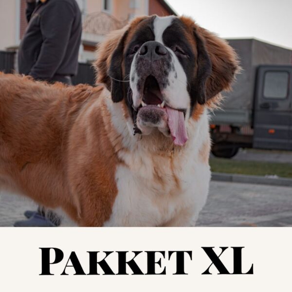 Zorgpakket hond XL