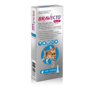 Bravecto Plus 2.8 - 6.25 kg kat