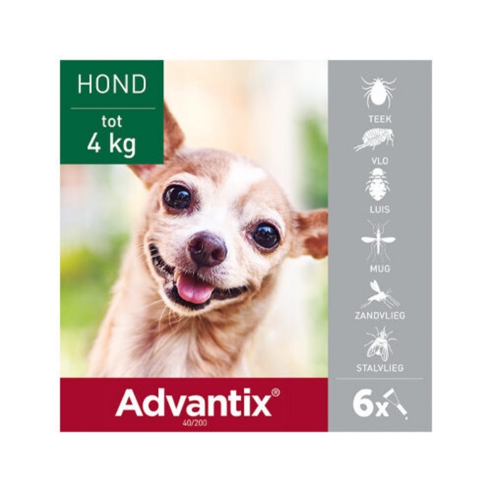 Riskeren plotseling Verwachting Advantix 1,5 - 4 kg - Dr pet