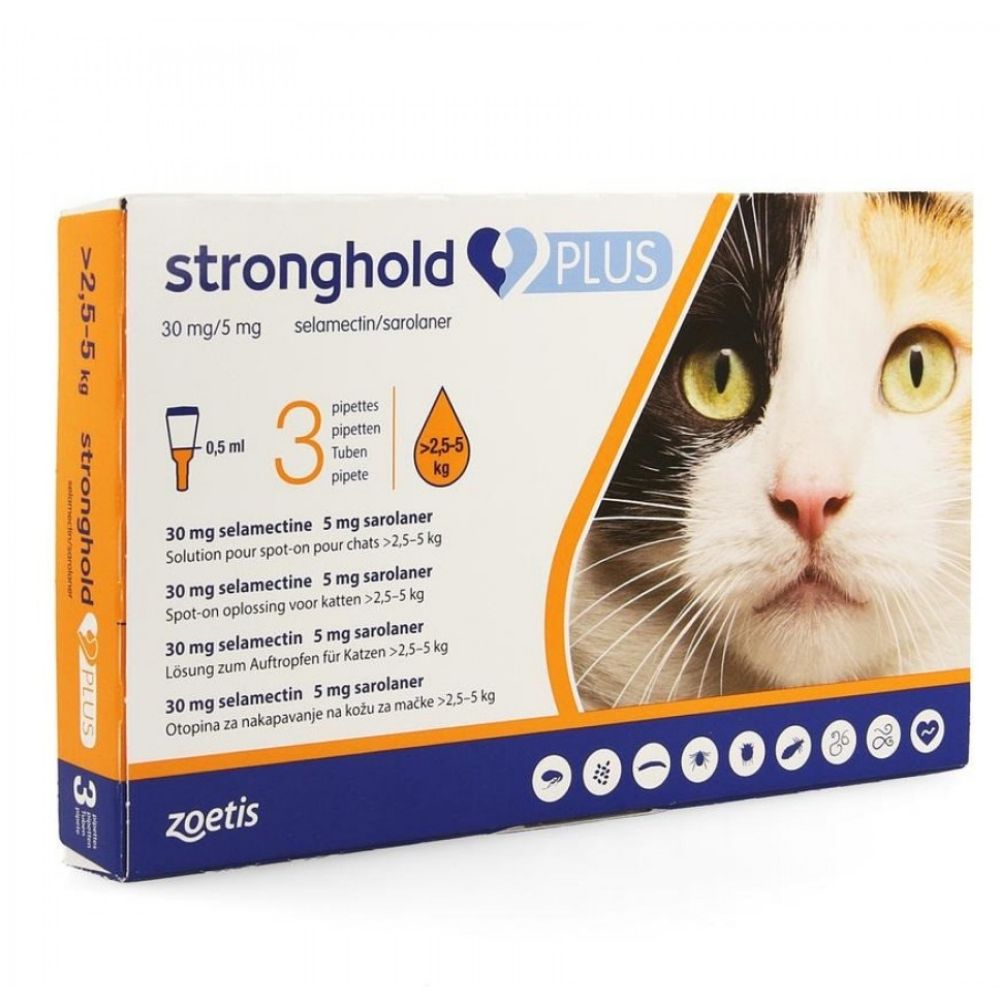 attent Minnaar Streven Stronghold+ kat 2,5 – 5 kg - Dr pet