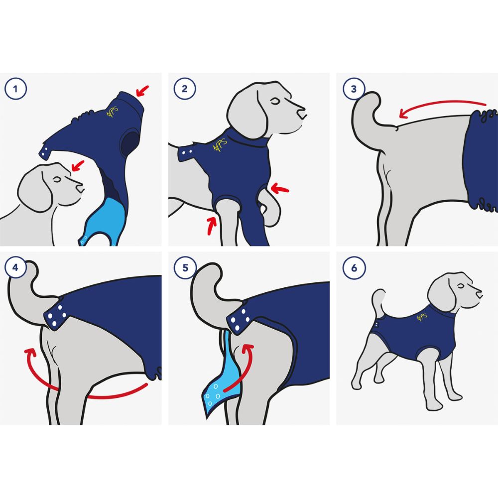 maagpijn dans Prehistorisch Medical Pet Shirt hond - Dr pet